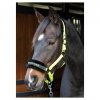  Kantar Lyrics Quotes - Harry's Horse